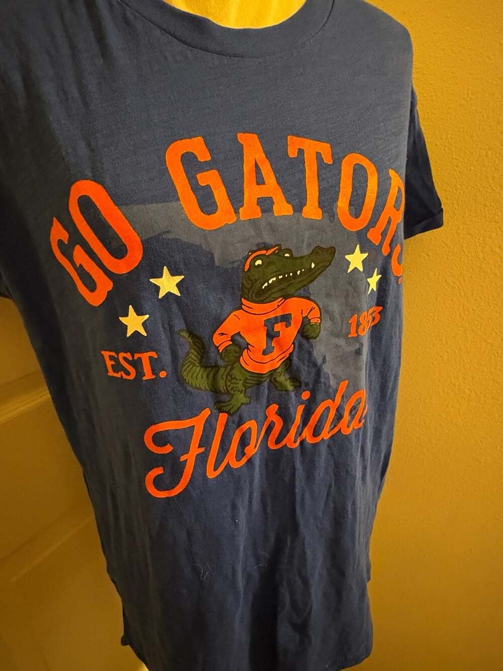 Three Square University of Florida Gators Boyfriend Graphic T-Shirt